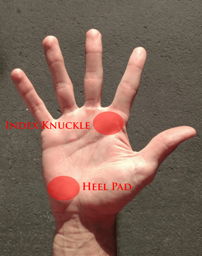 Tennis Grip Guide Different Grips Explained and Demonstrated